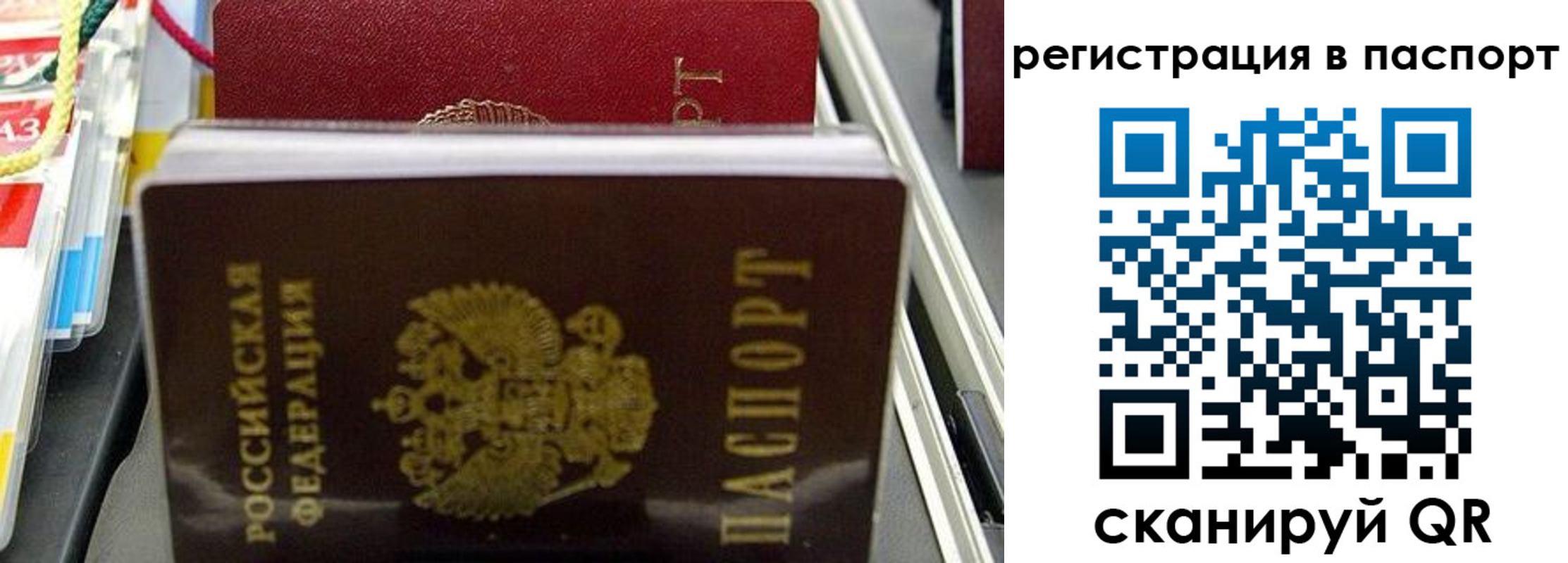 прописка для школы в Боровичах